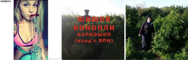 ECSTASY Вяземский