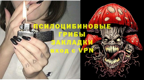 прущий лед Вязьма