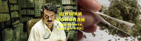 ECSTASY Вяземский