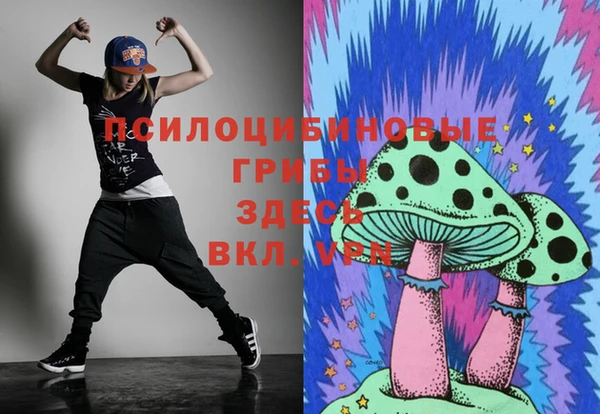 спиды Вязники