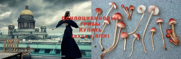спиды Вязники